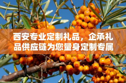 西安专业定制礼品，企承礼品供应链为您量身定制专属礼品