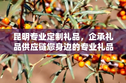 昆明专业定制礼品，企承礼品供应链您身边的专业礼品定制公司