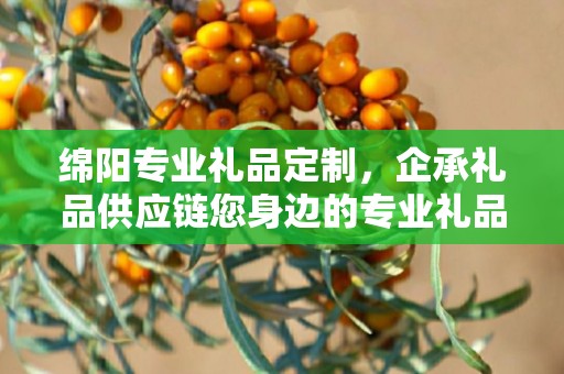 绵阳专业礼品定制，企承礼品供应链您身边的专业礼品定制公司