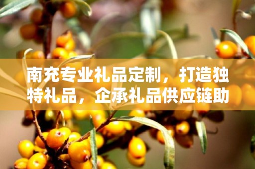 南充专业礼品定制，打造独特礼品，企承礼品供应链助力商务发展