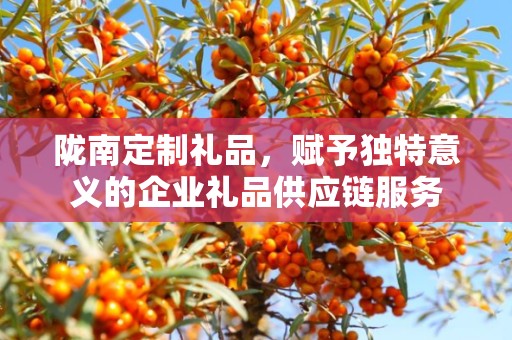 陇南定制礼品，赋予独特意义的企业礼品供应链服务
