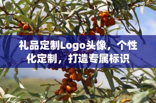 礼品定制Logo头像，个性化定制，打造专属标识